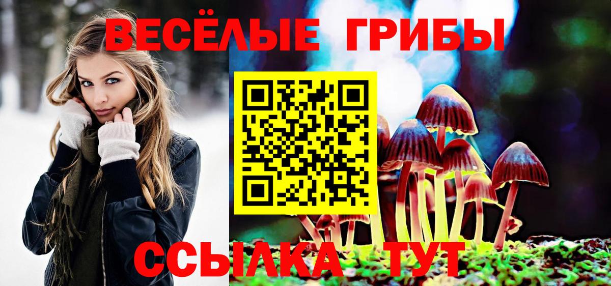 Псилоцибиновые грибы мицелий Алейск