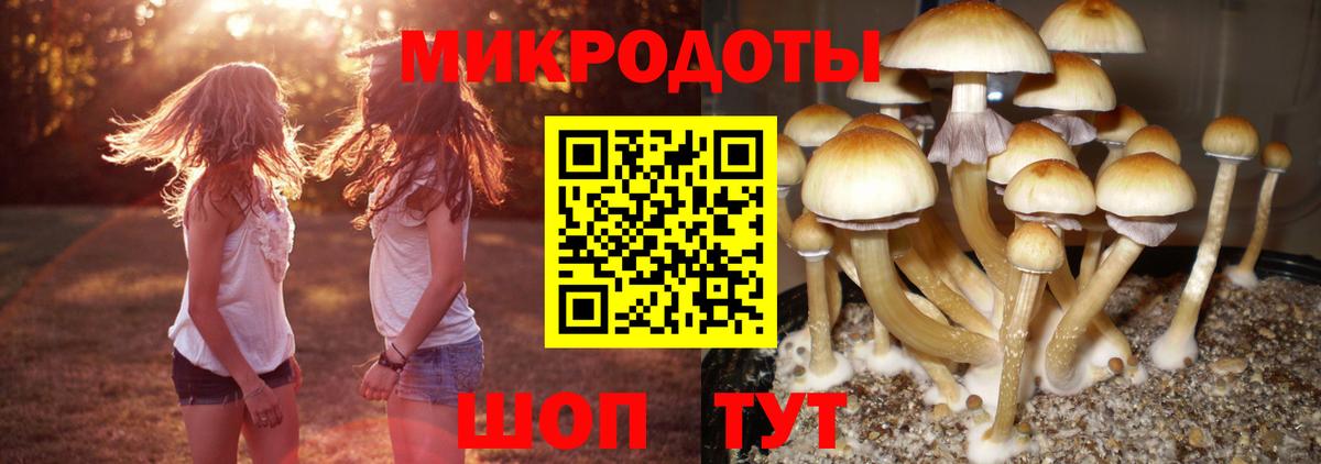 Галлюциногенные грибы мухоморы  Вход с VPN  Алейск 